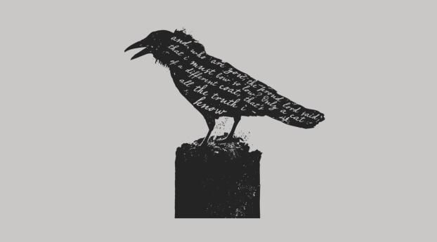 crow, bird, letters Wallpaper