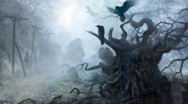 crows, fog, haze Wallpaper