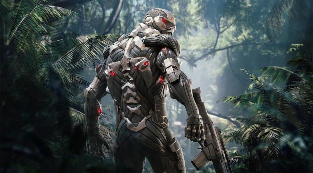 Crysis Remastered Game Wallpaper 1080x1620 Resolution