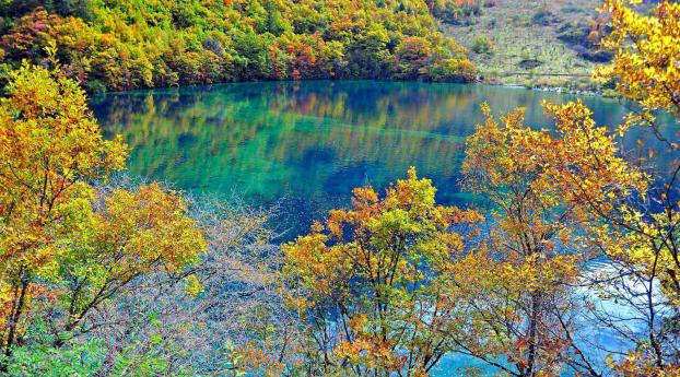 crystalline turquoise lake, jiuzhaigou national park, china Wallpaper 320x240 Resolution