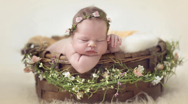 Cute Baby Child Photoshoot Idea Wallpaper 1440x2960 Resolution