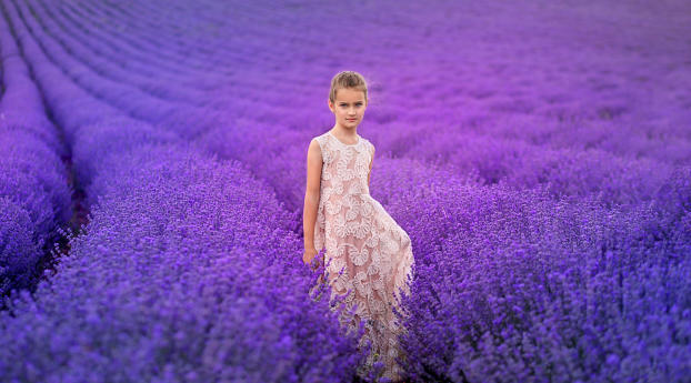 Cute Girl In Lavender Field Wallpaper 1600x1200 Resolution