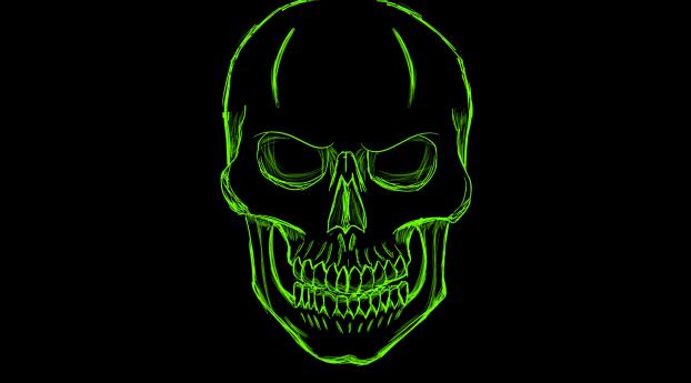 Dark Green Skull Minimalism Art Wallpaper 2048x2048 Resolution
