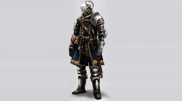 Dark Souls Knight Armor Wallpaper 1080x2232 Resolution