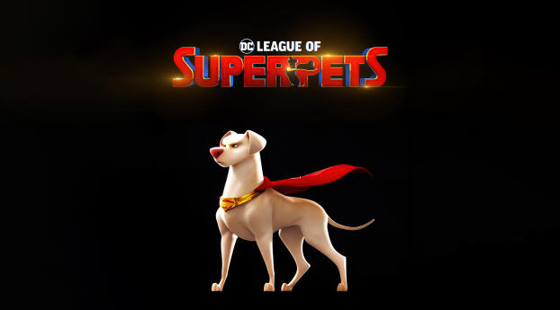 DC League Of Super-Pets HD Wallpaper 840x1160 Resolution