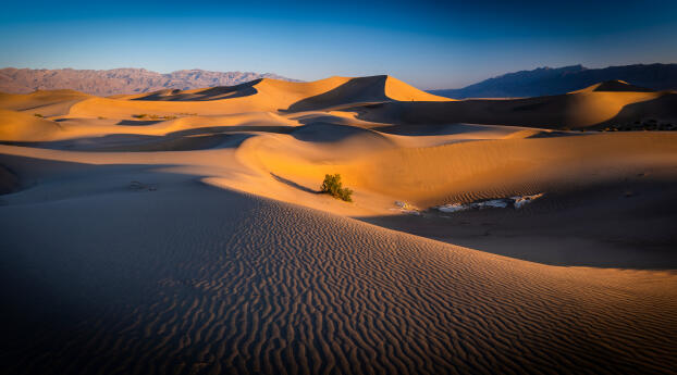 Death Valley Desert HD California Wallpaper 1080x2520 Resolution