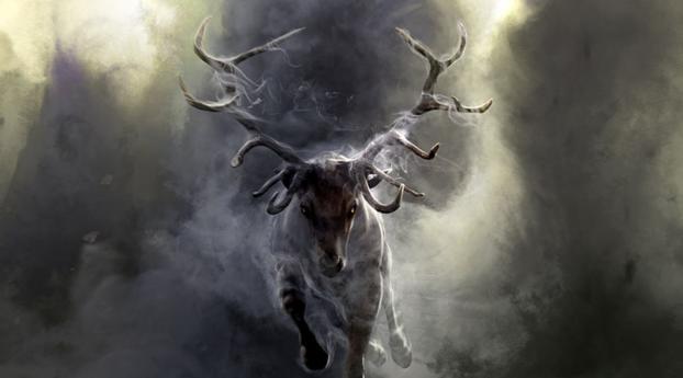 deer, smoke, run Wallpaper 480x854 Resolution