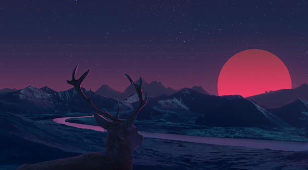 Deer Staring At Sunset Anime Wallpaper