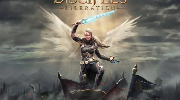 Disciples Liberation Game Wallpaper 640x9600 Resolution
