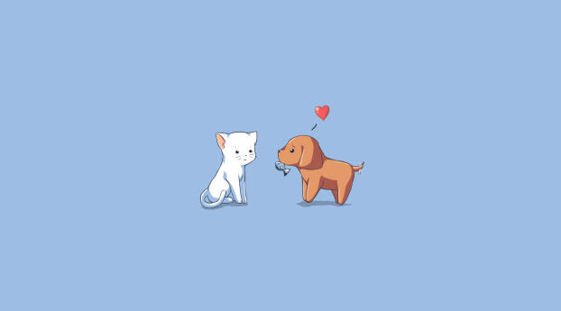 dog, cat, kitten Wallpaper 720x1280 Resolution