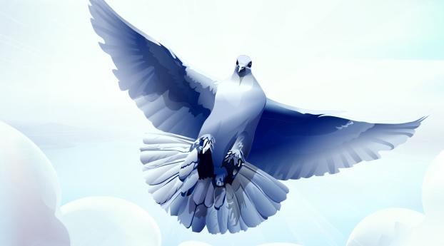 dove, bird, feather Wallpaper 360x300 Resolution