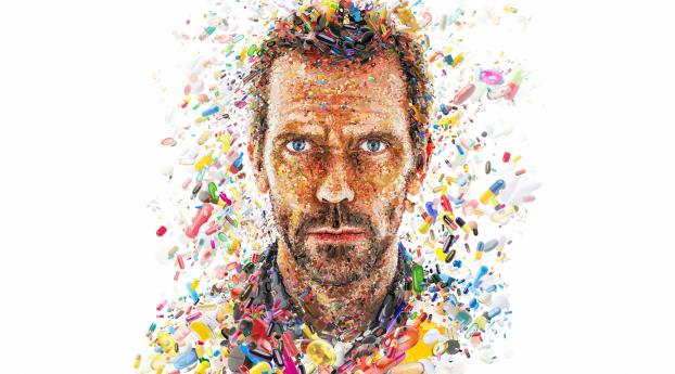 Dr House Gregory & Capsule In Art Wallpaper 320x240 Resolution