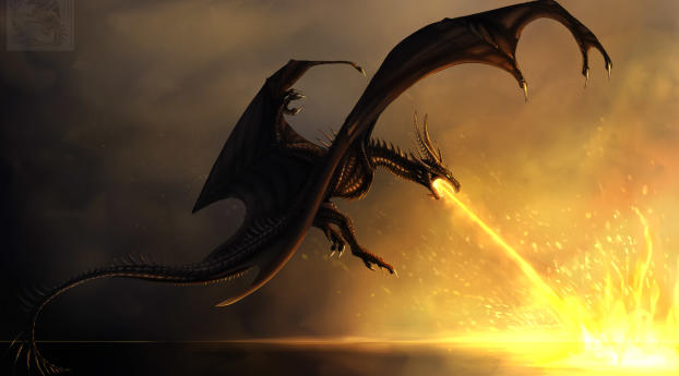 Dragon Burning Flames Wallpaper 360x300 Resolution