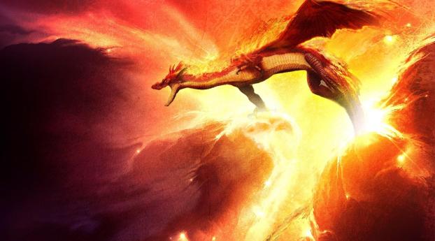 dragon, fire, sparkles Wallpaper