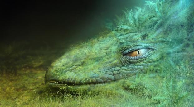 dragon, green, masking Wallpaper 640x1136 Resolution