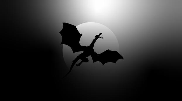 Dragon in the Dark Night Wallpaper 1080x1620 Resolution