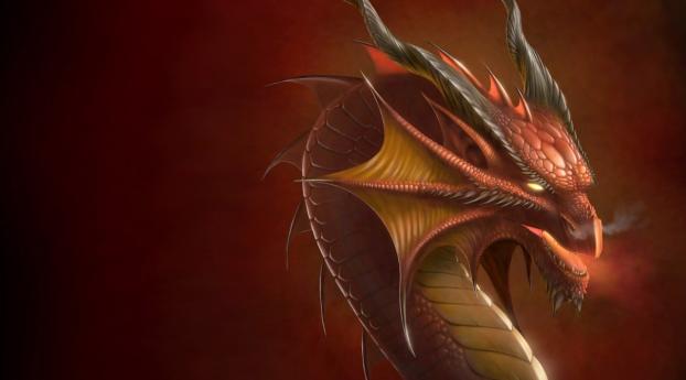 dragon, red, head Wallpaper 1080x2160 Resolution