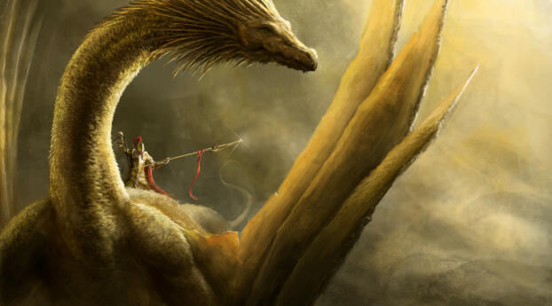 Dragon Ride Concept Art Wallpaper 319x720 Resolution