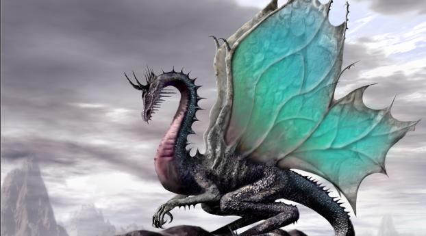 dragon, wings, fantastic Wallpaper 1080x2400 Resolution
