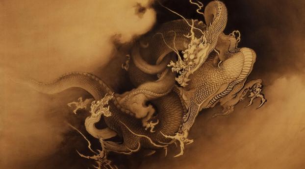 dragons, canines, battle Wallpaper 2560x1024 Resolution