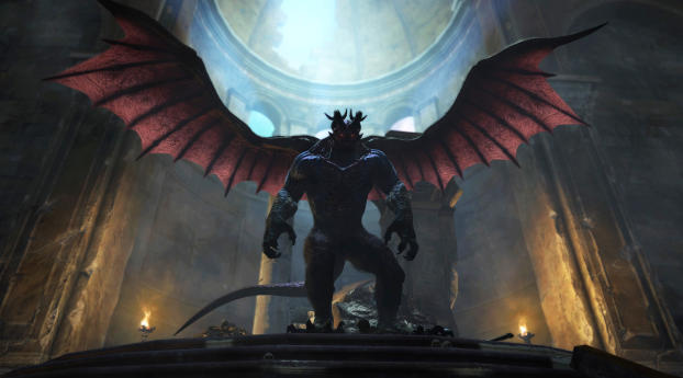 Dragons Dogma Dark Arisen PS4 Xbox Wallpaper 1440x2960 Resolution