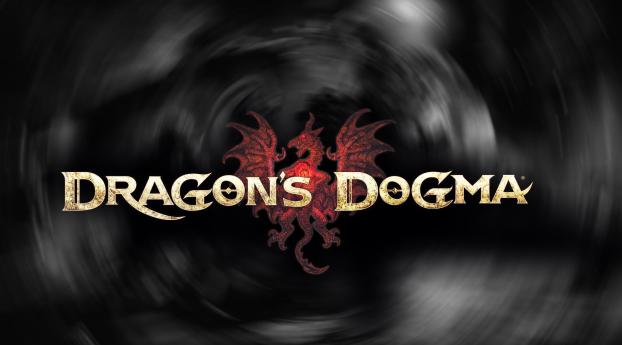 dragons dogma, name, font Wallpaper 640x960 Resolution