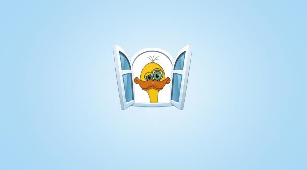 duck, box, drawing Wallpaper 1080x2048 Resolution