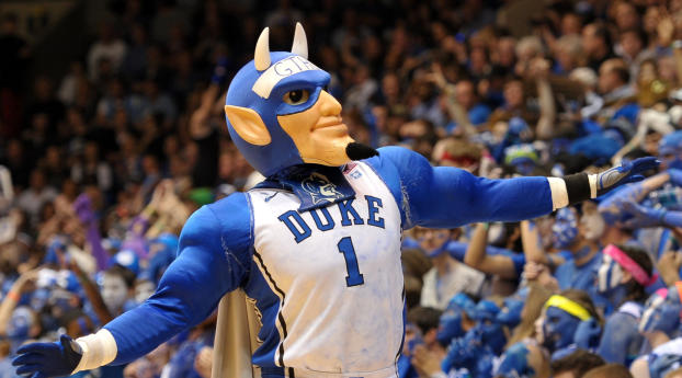 duke blue devils, mascot, basketball Wallpaper 750x1334 Resolution