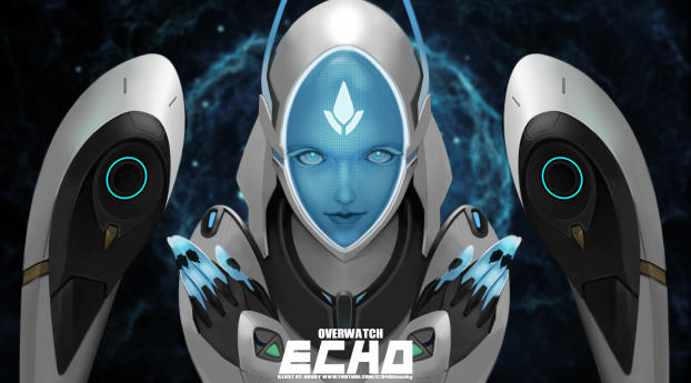 Echo Overwatch Wallpaper 1080x2280 Resolution