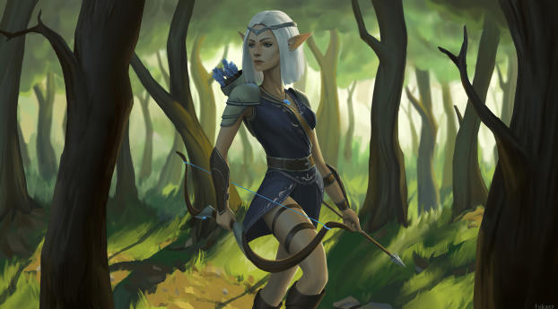 Elf  Woman Archer Warrior Wallpaper 1336x768 Resolution