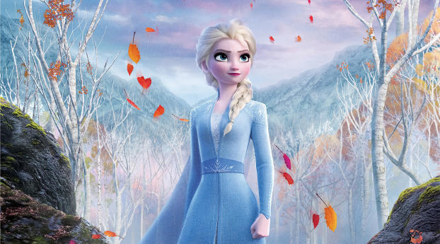 Elsa Frozen Wallpaper 1080x2232 Resolution