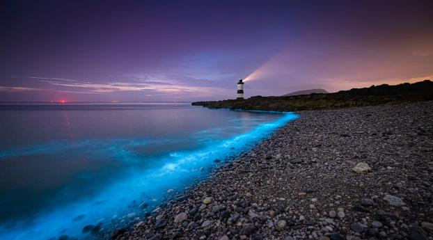 Evening in Lighthouse Sea Wallpaper 720x1280 Resolution
