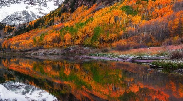 Fall Foliage Forest Lake Nature Reflection Wallpaper 1080x2280 Resolution