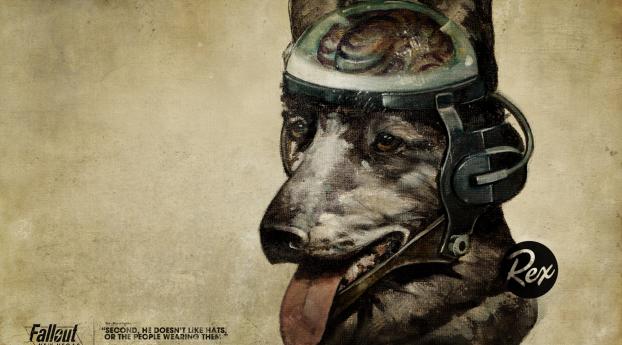 fallout, quote, dog Wallpaper 1336x768 Resolution