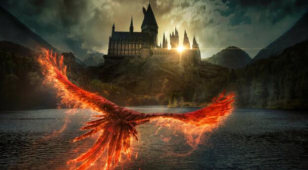 Fantastic Beasts The Secrets of Dumbledore HD Movie Poster Wallpaper