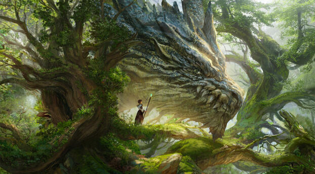 Fantasy Forest Dragon HD Wallpaper