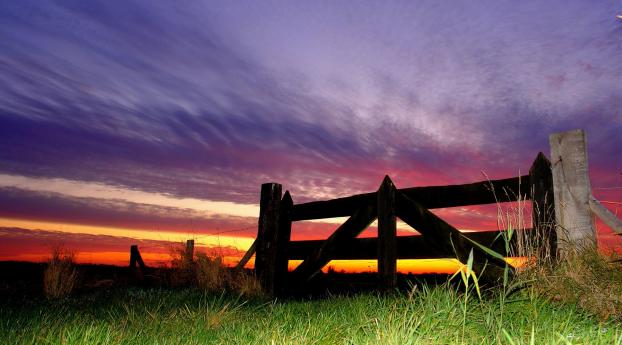 fence, grass, evening Wallpaper 640x960 Resolution