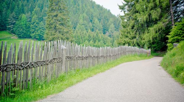 fence, road, trees Wallpaper 2048x1152 Resolution
