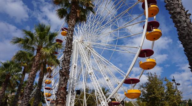 ferris wheel, amusement, palm trees Wallpaper 2560x1700 Resolution