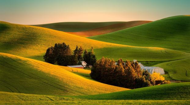 field, grass, landscape Wallpaper 1440x900 Resolution
