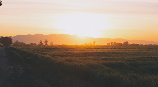 field, grass, sunset Wallpaper 1080x2280 Resolution