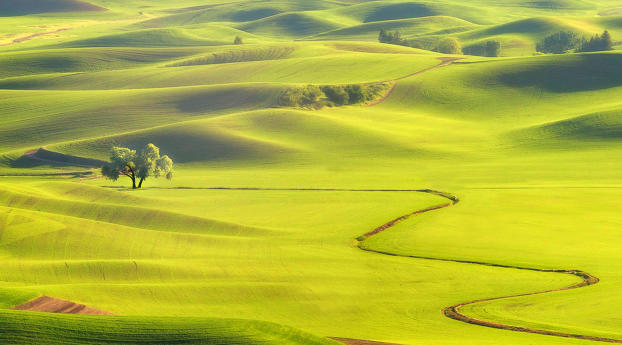 field, hills, grass Wallpaper