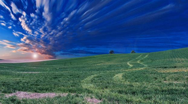 field, horizon, sky Wallpaper 320x480 Resolution