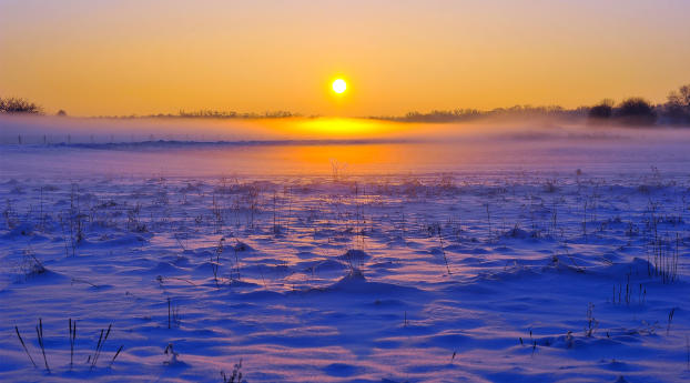 field, horizon, snow Wallpaper 480x484 Resolution