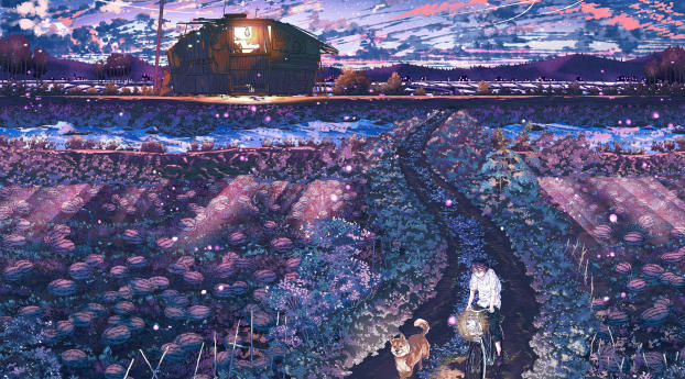 field, night, anime Wallpaper 240x320 Resolution