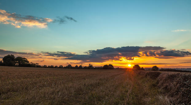 field, sunset, grass Wallpaper 1280x720 Resolution