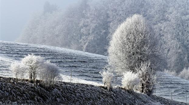 field, winter, frost Wallpaper 2560x1024 Resolution