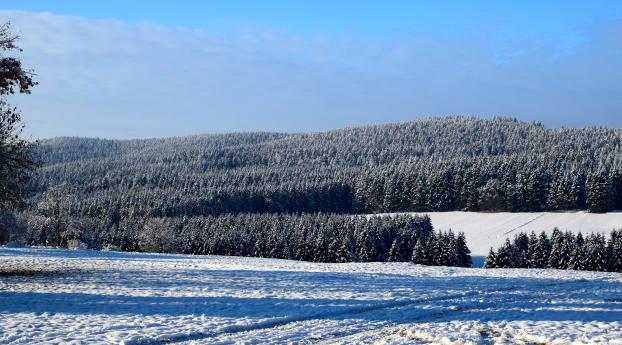 field, winter, snow Wallpaper 1600x900 Resolution