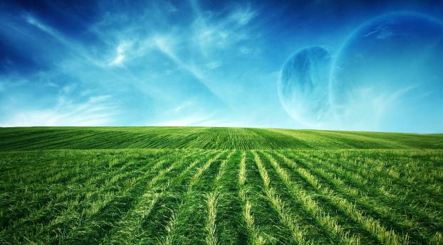 fields, vegetation, planets Wallpaper 640x1136 Resolution