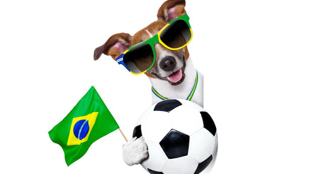fifa world cup, brazil, 2014 Wallpaper